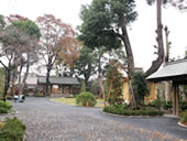恒例行事である神明宮「我楽多市」が開催 恒例行事である神明宮「我楽多市」が開催