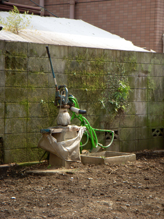 DSCN0624.JPG