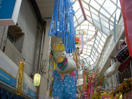 DSCN1114.jpg