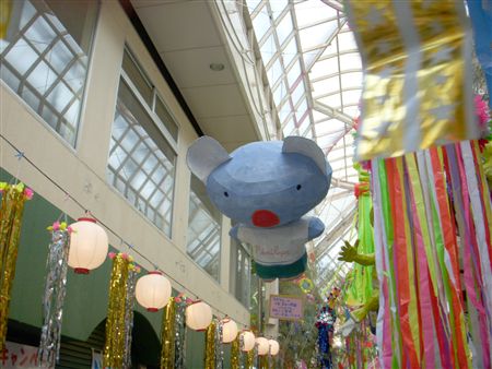 DSCN1127.jpg