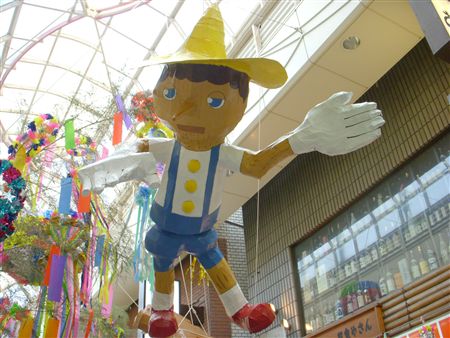 DSCN1129.jpg