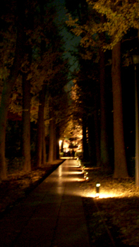 DSCN1852.jpg