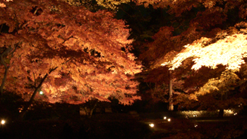 DSCN1856.jpg
