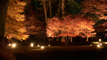 DSCN1858.jpg