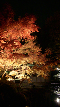 DSCN1859.jpg