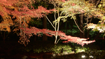 DSCN1861.jpg