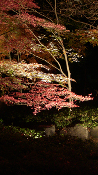DSCN1862.jpg