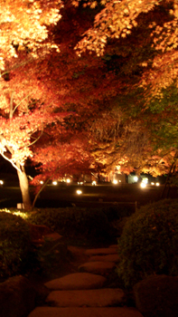 DSCN1867.jpg