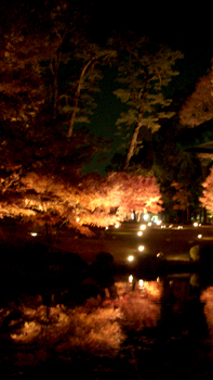 DSCN1869.jpg