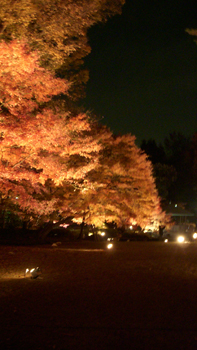 DSCN1876.jpg